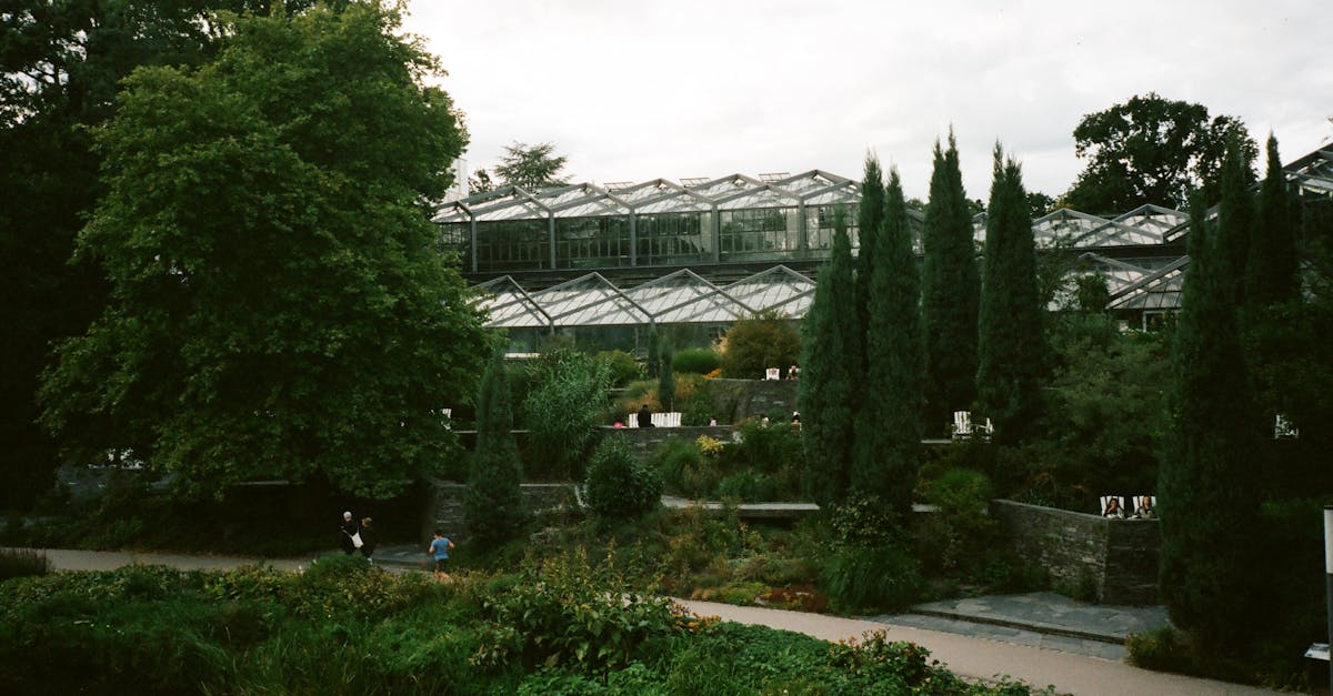 Lawn Care Services in Gilbert